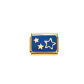 Dream Star Gold Charm