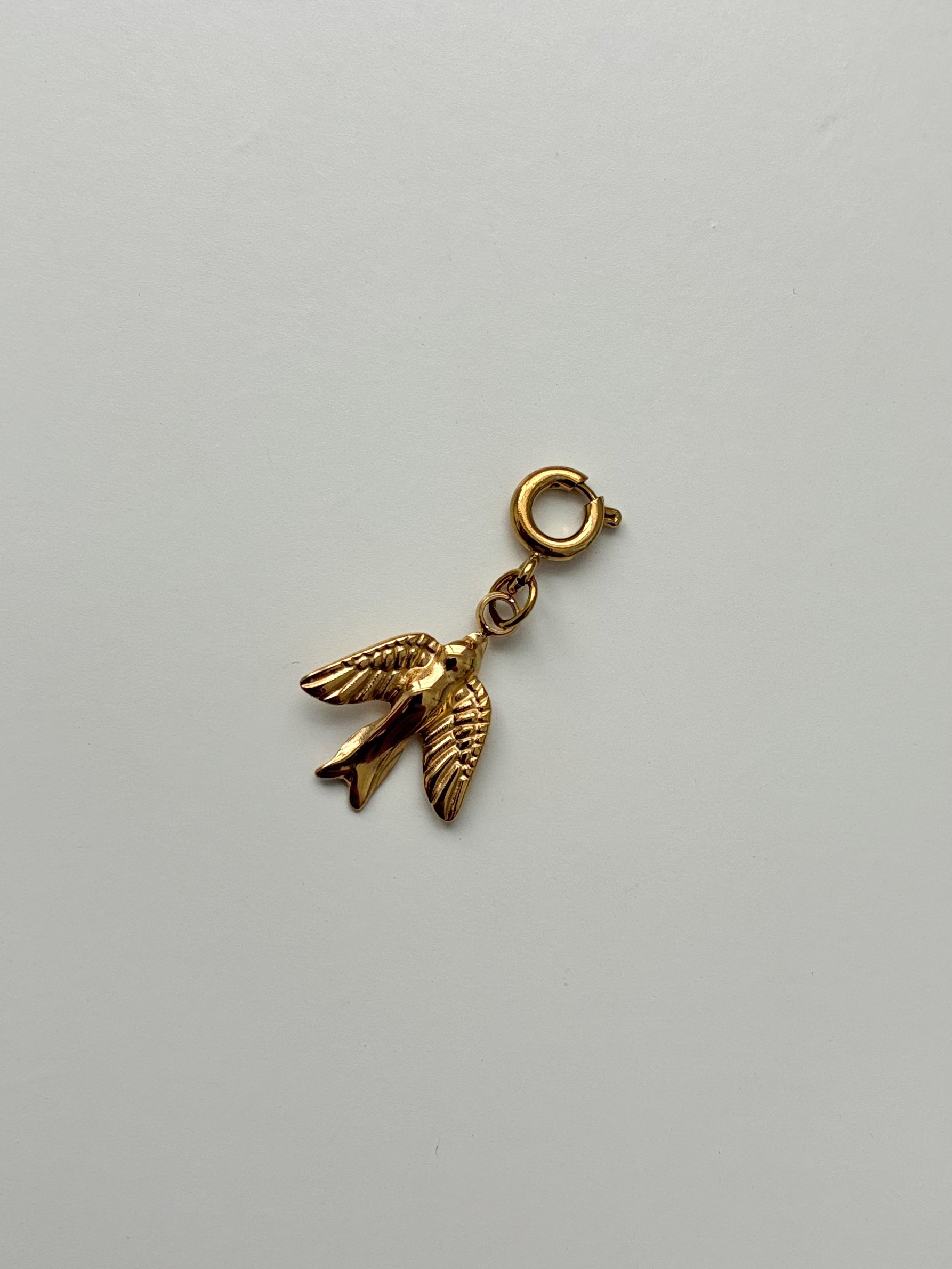 canario charm