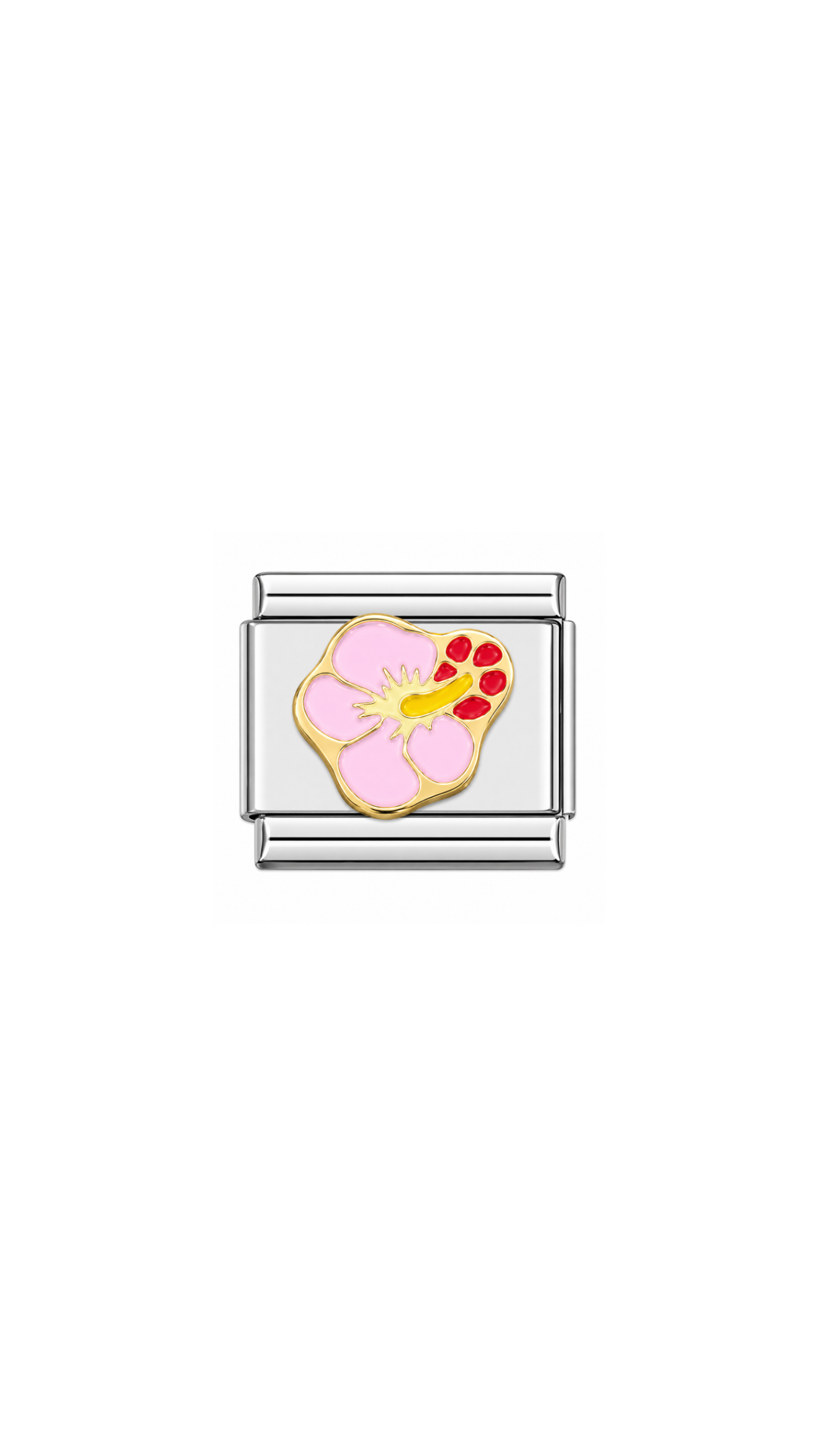 Hibiscus Pink Charm