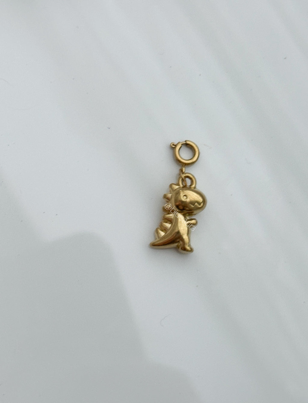 Dyno charm