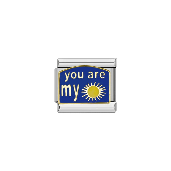 you are my sunshine silver charm