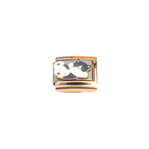 gatito oro charm