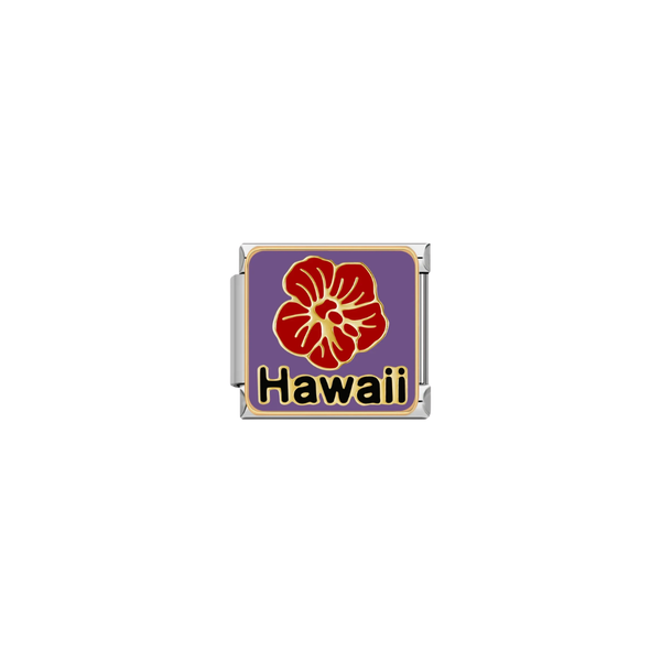 Hawaii plata charm