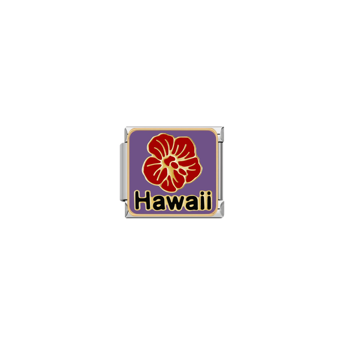Hawaii plata charm