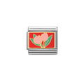 tulipán rosita charm