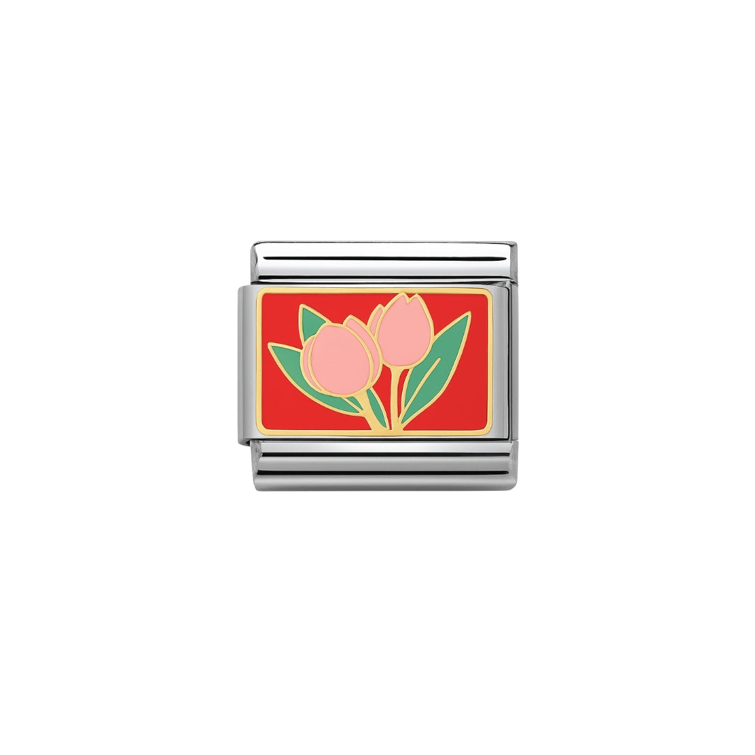 tulipán rosita charm