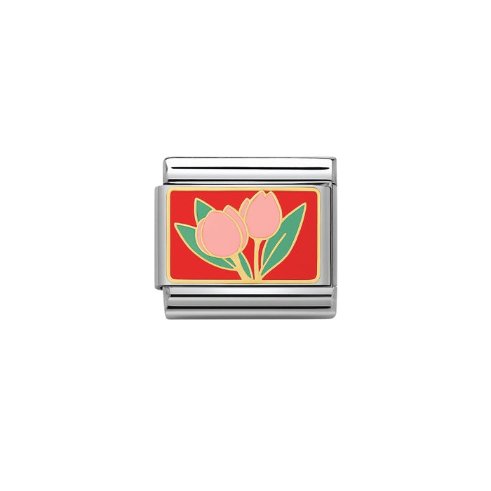 tulipán rosita charm