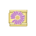 wanda daisy charm